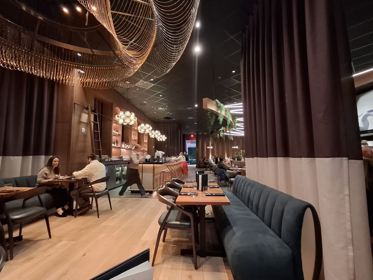 Alara Cincinnati Photos 2